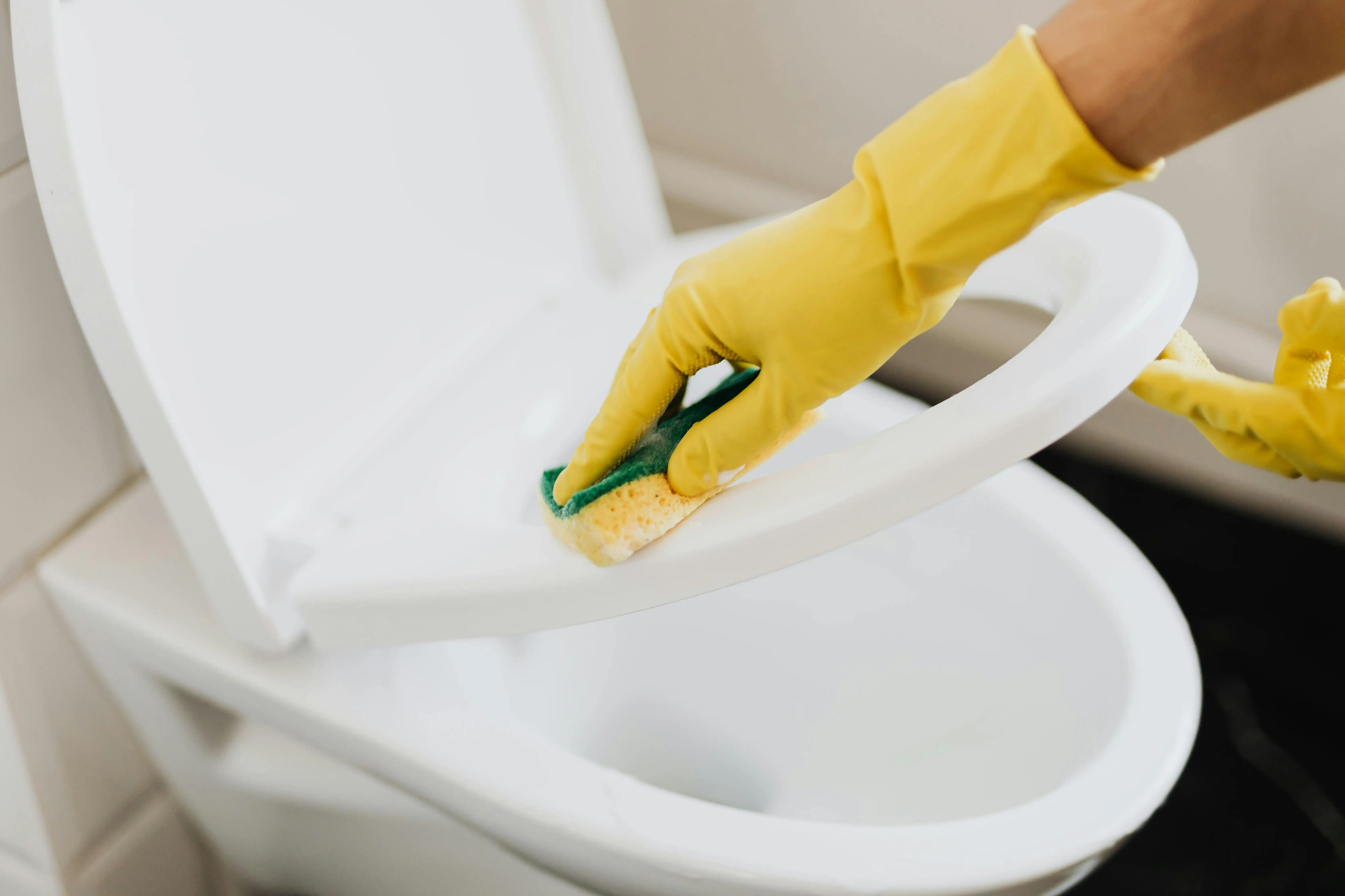 Hygiène 3D